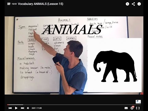 Vocabulary ANIMALS (Lesson 15) Vocabulary ANIMALS (Lesson 15)