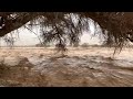 desert flood שיטפון בנחל ערבה