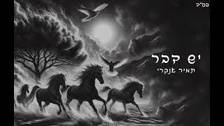 תמיר אנקרי - יש דבר