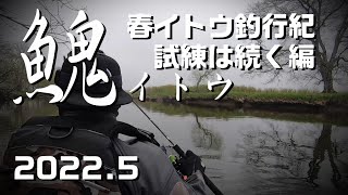 春イトウ釣行記4 試練は続く編2022【湿原河川の釣り】