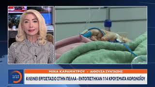 Έκτακτη είδηση: Κλείνει εργοστάσιο στην Πέλλα – Εντοπίστηκαν 114 κρούσματα κορωνοϊού | OPEN TV