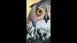 🎨 Eagle Owl in Pastel