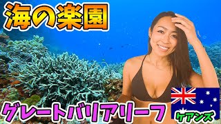 【天国の海】一生に一度は訪れたい!!世界遺産グレートバリアリーフでダイビング!!