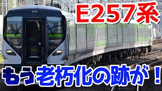 【デビュー当日からボロボロ💦】E257系5000番台（波動用編成）がとんでもない可能性があります。