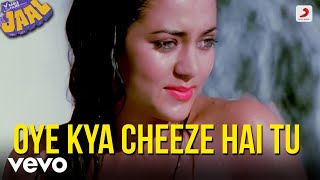 Oye Kya Cheeze Hai Tu - Jaal|Anu Malik|Shabbir Kumar