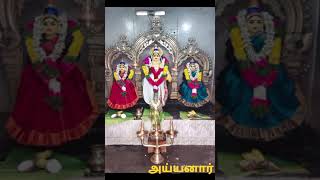 04:04:2023 ஸ்ரீ தர்மசாஸ்தா செங்கோட்டை அய்யனார் பங்குனி உத்திரம் திருவிழா அனைவரும் வருக...