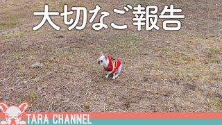 【ご報告】今後について。