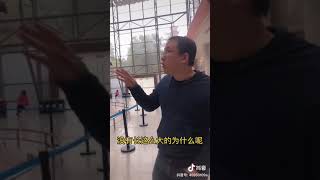 现在的动物为什么不像以前的恐龙长得那么大？