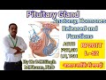 Pituitary Gland | Structure, Hormones & Functions | Human Anatomy Physiology-II | BP201T | L~52