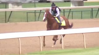 2018 Belmont Stakes: Justify in the hunt for the Triple Crown