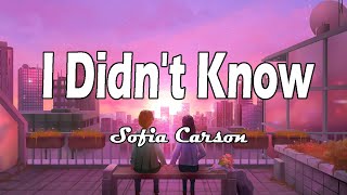Sofia Carson - I Didn't Know (lyrics)