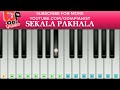 sekala pakhala galani easy piano tutorial by odia pianist