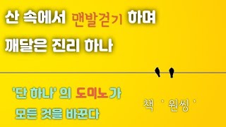 산속에서 맨발로 걷다가 깨달은 진리 하나, 성공은 도미노처럼 작동한다.