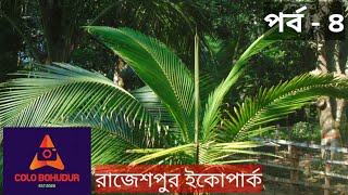 রাজেশপুর ইকো পার্ক কুমিল্লা।। ৪র্থ পর্ব