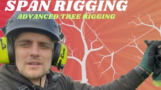 Span Rigging: Pro Tree Rigging Method Explained