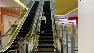 【Japanese Escalator】ららぽーと愛知東郷・北西フロア・フジテックエスカレーター