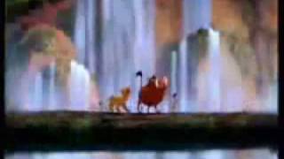 Hmong Lion King