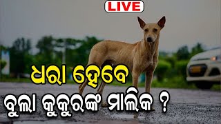 LIVE କୁକୁର ରଖୁଥିଲେ ସାବଧାନ! BMCର ନୂଆ ନିୟମ ଚିହ୍ନଟ ହେବେ ମାଲିକ Guidelines For Pet Dogs In Bhubaneswar