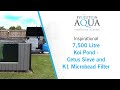 7,500 Litre Fibreglass pond - Evolution Aqua Cetus Sieve and K1 Microbead Filter!