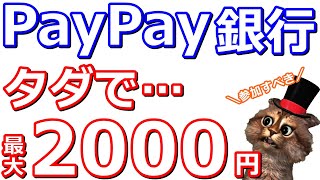 PayPay銀行条件達成で現金最大2000円！PayPayとPayPay銀行との連携も今がチャンス【オッズパーク】