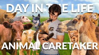 Day in the Life at a Farm and Animal Sanctuary