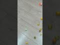 Crazy Reverse Bouncing Balls