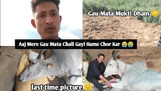 Aaj Mere Gau Mata Chali Gayi Hame Chor Kar 😭😭 / Last Time Pic 😞 Vlog day 70 (365)