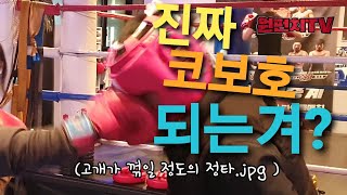 [원펀치TV] 진짜 코보호가 되는지 스트레이트 맞아보았습니다!!!!