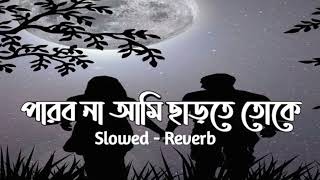 Parbo Na Ami Charte Toke Bengali song Lofi remix ....(Slowed and reverb) #bengalisonglofi