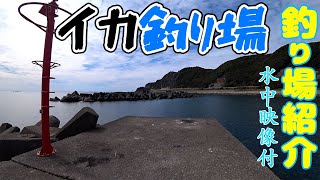 【釣り場紹介】和歌山県 白浜町【伊古木漁港】アオリイカ等が釣れるポイント　水中映像有り