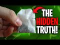 The Horrible Truth About TEABAGS