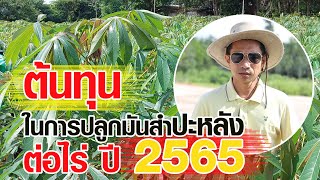 EP:75 ต้นทุนในการปลูกมันสำปะหลังต่อไร่ ปี 2565