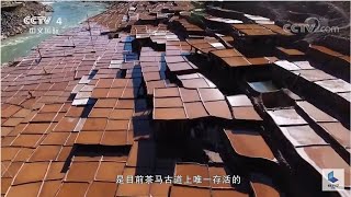 茶马古道上的风景线——澜沧江千年古盐田《路见西藏》第一集【CCTV纪录】