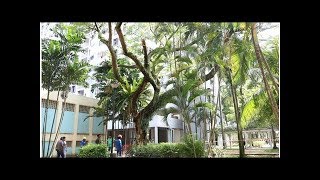 Man, 89, dies after being hit by falling branch