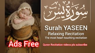 Surah Yasin (Yaseen) سورة يس | Relaxing heart touching voice | Zikrullah TV