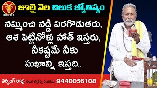 మకర రాశి జూలై నెల చిలుక జ్యోతిష్యం | Makara Rashi July 2022 Chilaka Joshyam | July 2022 Makara Rashi