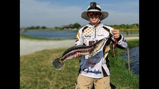 Fishing in Thailand: Giant Snakehead & Barramundi at Pilot 111 Fishing Pond