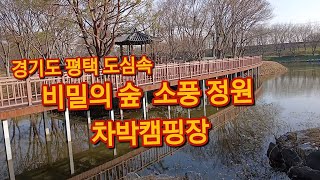 경기도 평택 환상의 소풍정원 차박캠핑장