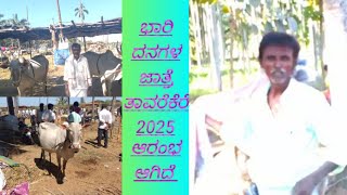 ಭಾರಿ ದನಗಳ ಜಾತ್ರೆ ತಾವರೆಕೆರೆ 2025 @ Indian hallikar