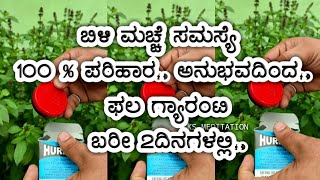 ಬಿಳಿಮಚ್ಚೆ ಸಮಸ್ಯೆ 100%ಪರಿಹಾರ|ಅನುಭವದಿಂದ|ಫಲ ಗ್ಯಾರಂಟಿ|ಬರೀ 2ದಿನಗಳಲ್ಲಿ|vitiligo,white patches on skin-2021