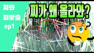 찌가 왜 올라오지? 이것만 알면 초보탈출[찌와 찌맞춤 ep1]