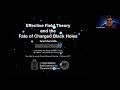 NYU Physics Research Seminar Feb 17, 2021- Effective Field Theory and the Fate of Charged Black Hole