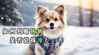 狗狗怕冷嗎？ 冷到什麼程度才叫冷？ | 從狗狗行為看溫度是否適應！