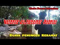 Expedisi Langsung ke Tempat Buaya Penunggu Keramat Sungai Rungan Kalimantan Tengah‼️