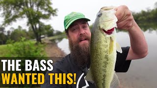 How To Catch Bass in The Fall - Try Fishing With a NED RIG!!!