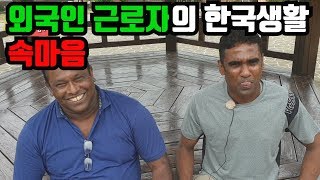 외국인근로자의 한국생활 속마음, 한국사람 다됐네!