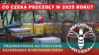 Co czeka pszczoły w 2025 ROKU? - Przewidywana na podstawie kalendarza biodynamicznego