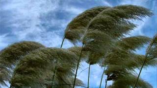 Eyðun Nolsøe og Mása Háberg - Dust in the Wind