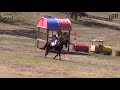 2019 australian eventing championships at wandin park