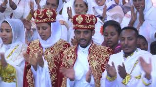 የዲያቆን ሳሙኤል ልሳነወርቅ እና ወ/ት ትንሳኤ ዋለ የተክሊል ስነ ስርአት- Frankfurt  November 4 2018 Germany